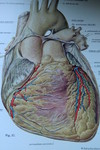 Herzerkrankung erkennen- Praxis Dr. Mähler